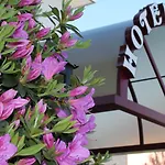 ホテル Lodge, Pool & Garden Retreat アスコナ
