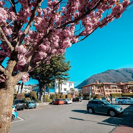 Lodge, Pool&garden Retreat