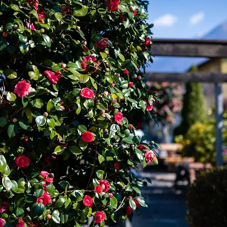 Hotel Lodge, Pool&garden Retreat