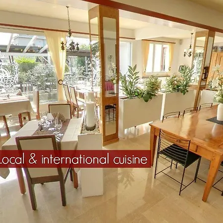 מלון Lodge, Pool & Garden Retreat אסקונה
