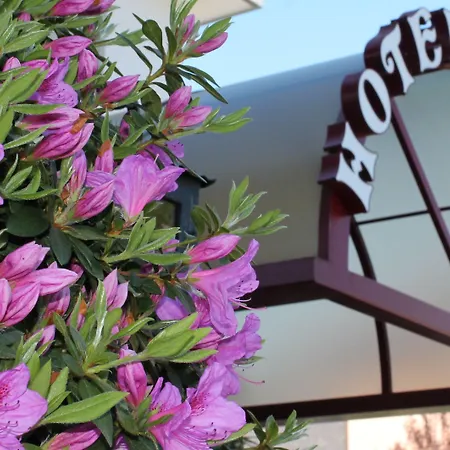 فندق Lodge, Pool & Garden Retreat أسكونا