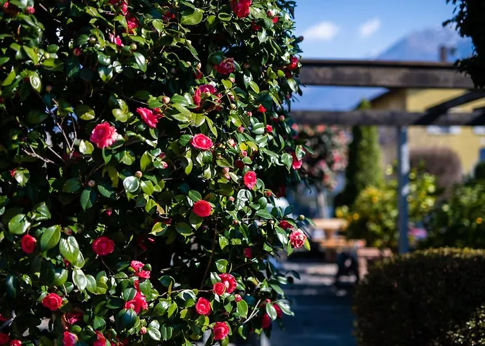 Hotel Lodge, Pool&garden Retreat