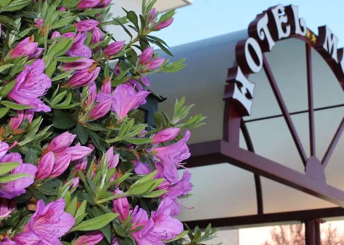 Hotel Lodge, Pool & Garden Retreat Ascona